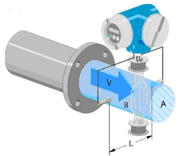 1637375591446643.jpg d5.jpg