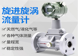 分体旋进旋涡流量计